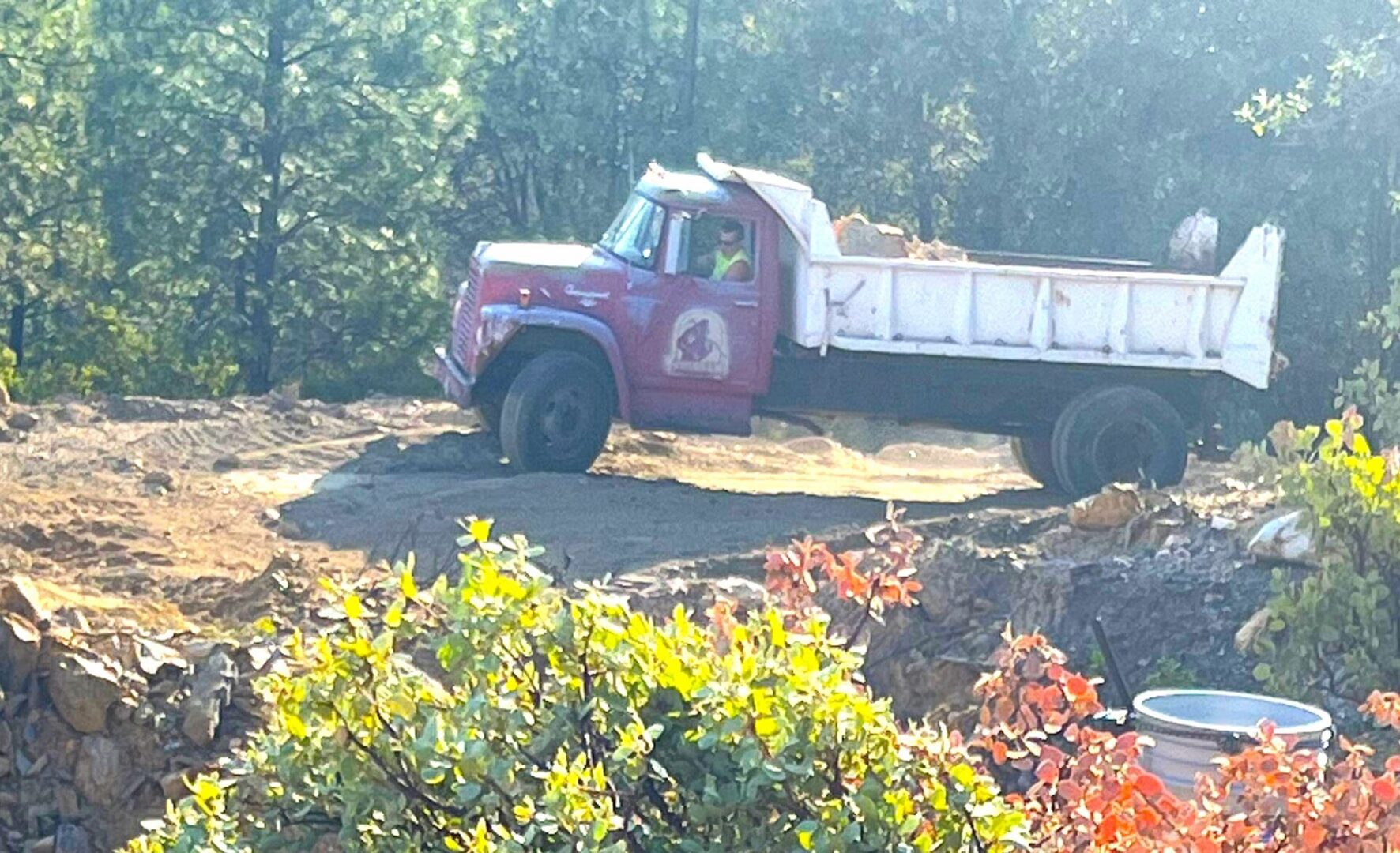 Dump Truck2
